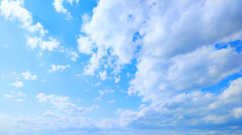 WACCAマンスリーレポート　７月