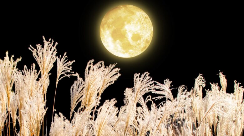 WACCAマンスリーレポート　9月